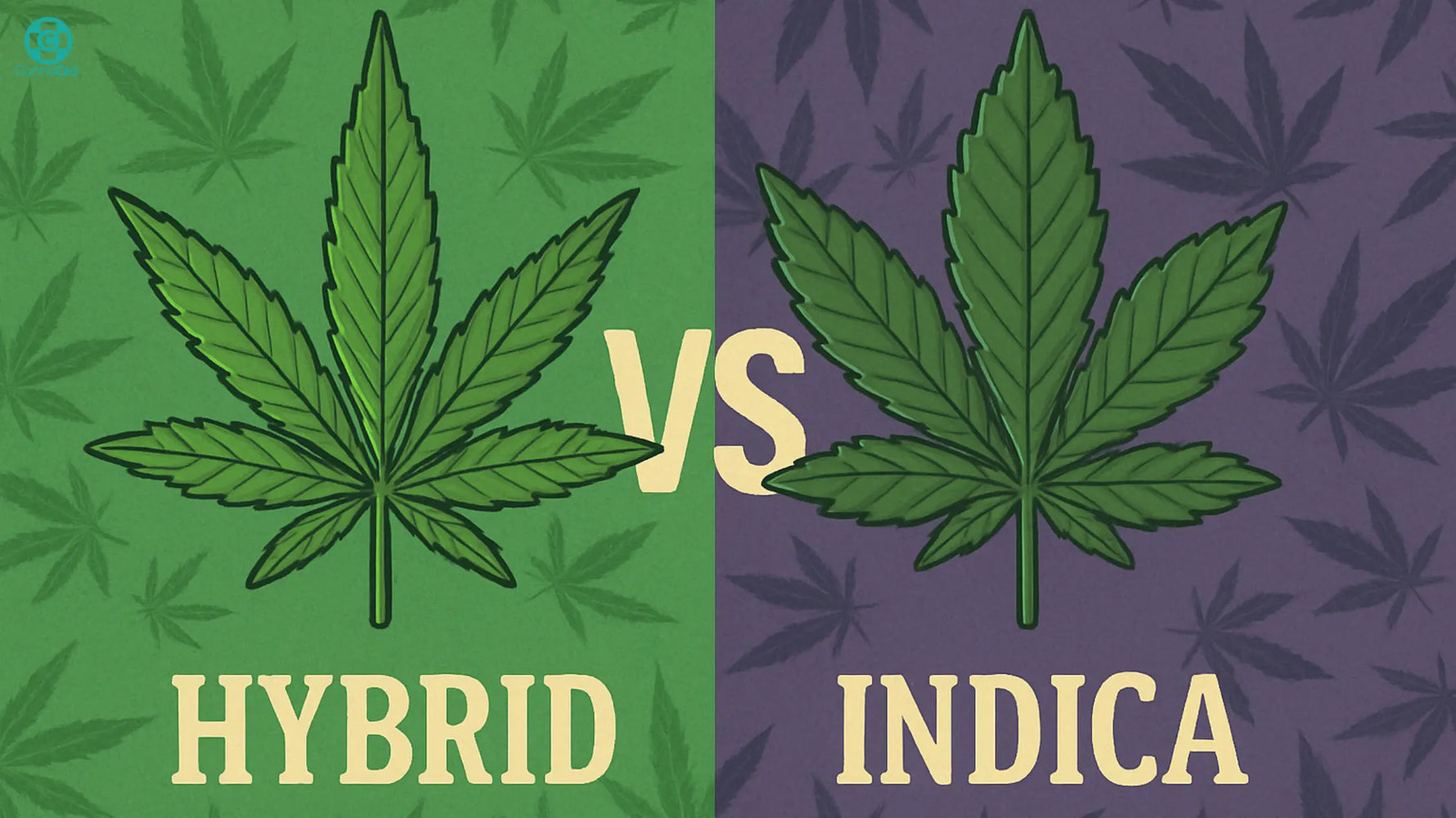 hybrid vs indica