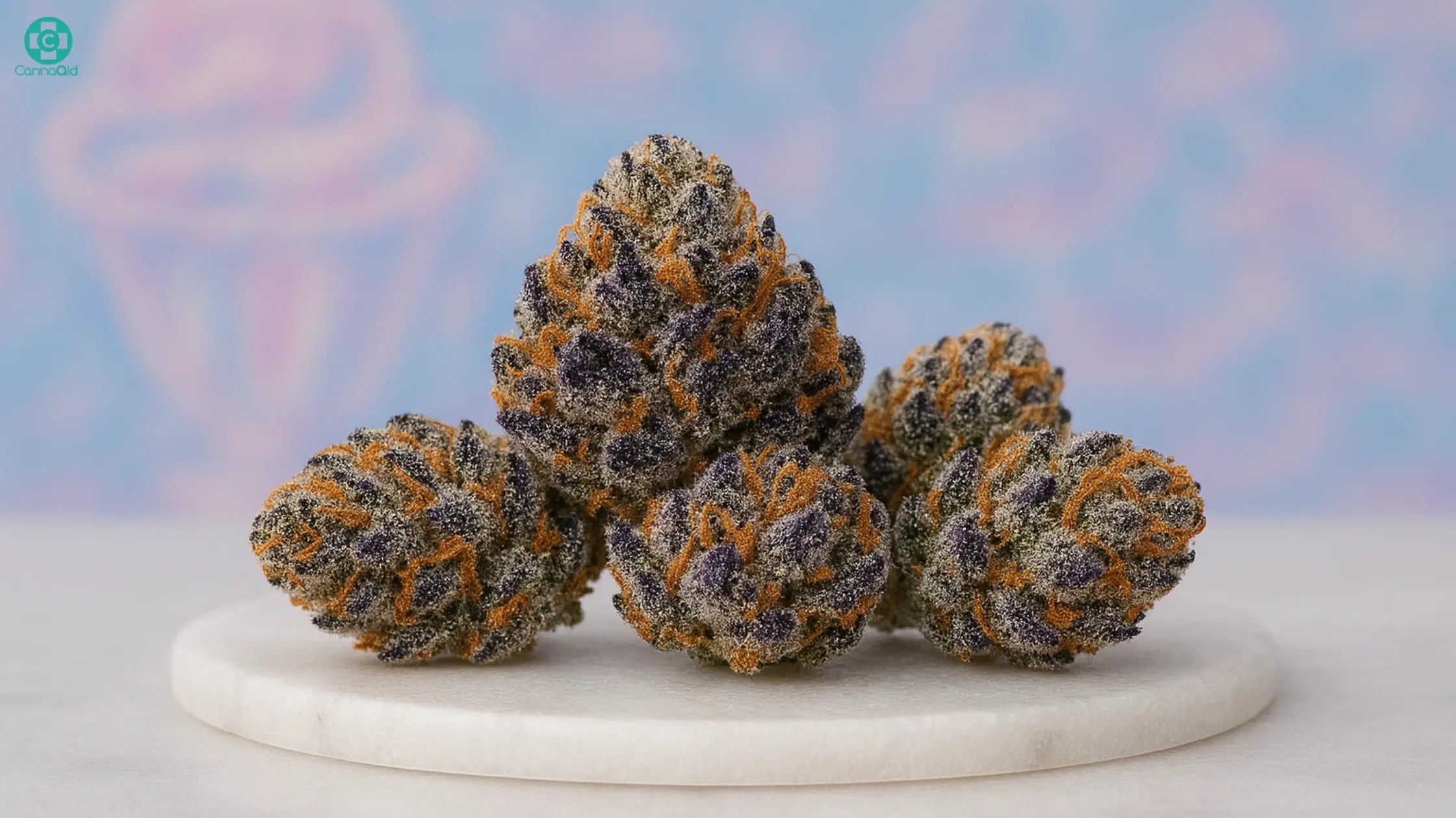 Ice-Cream-Cake-Strain-A-Sweet-Indica-Hybrid-for-Relaxation-Flavor CannaAid