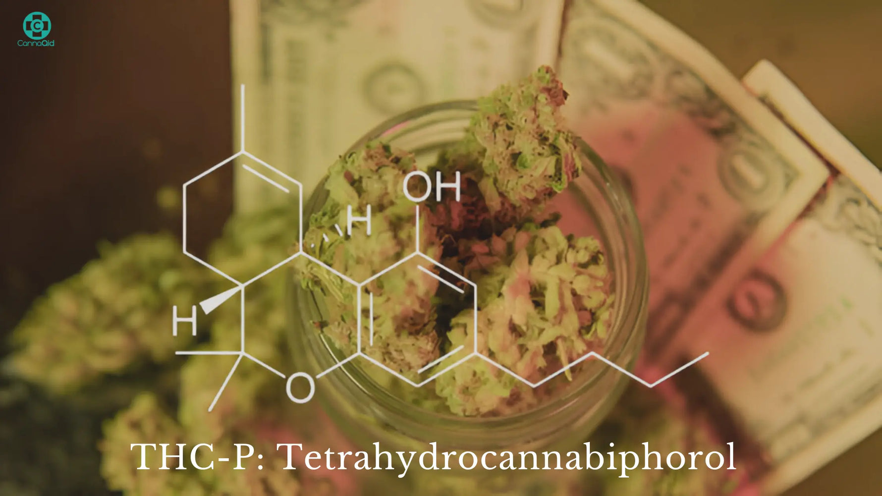 What-is-THCP-Exploring-the-Most-Potent-Cannabinoid CannaAid