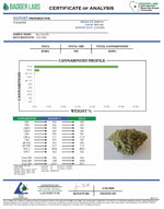 Key Lime Pie CannaAid