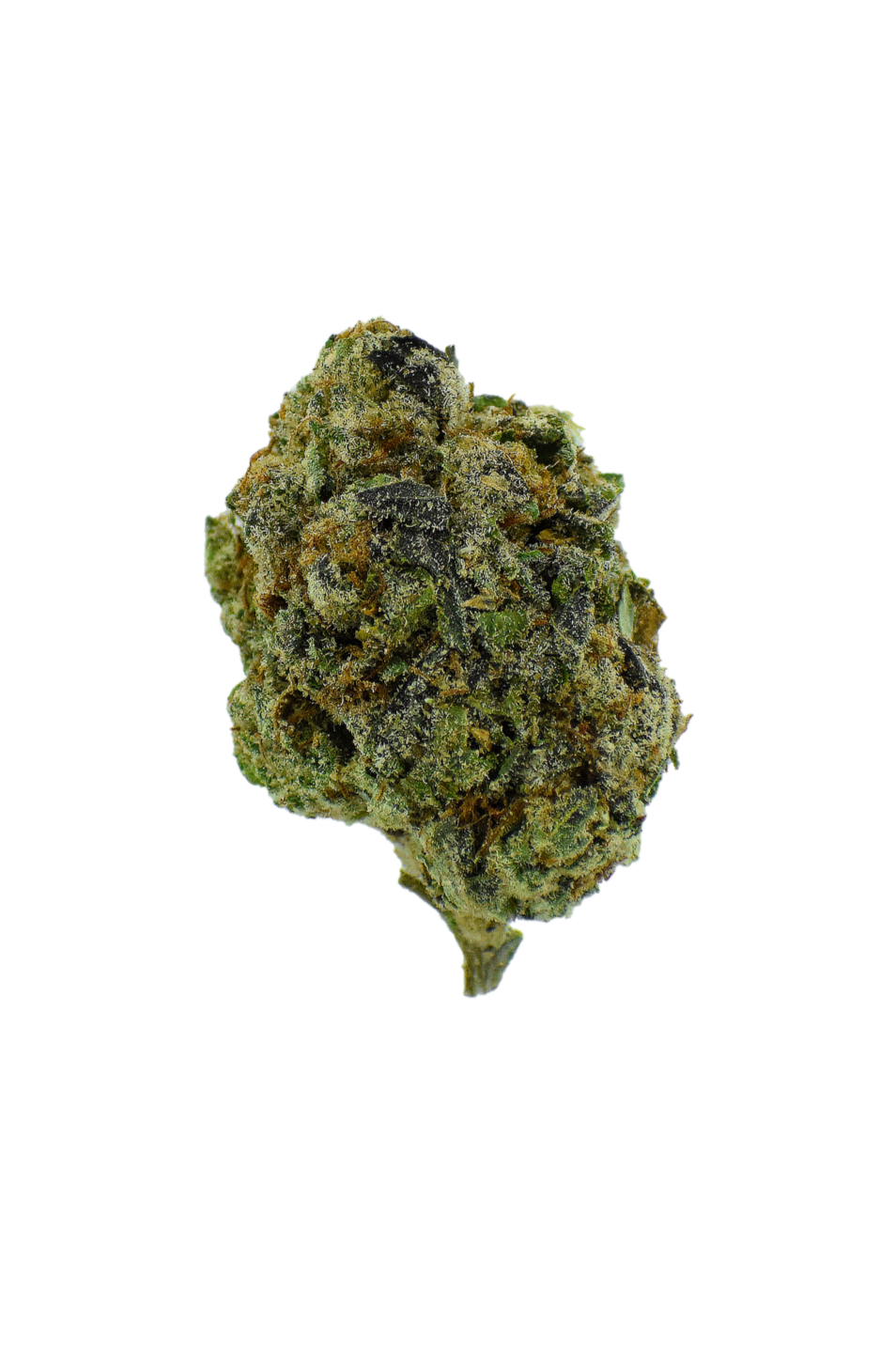 Acapulco Gold CannaAid