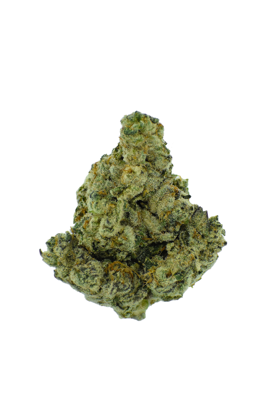 Gold Label - Afghan CannaAid