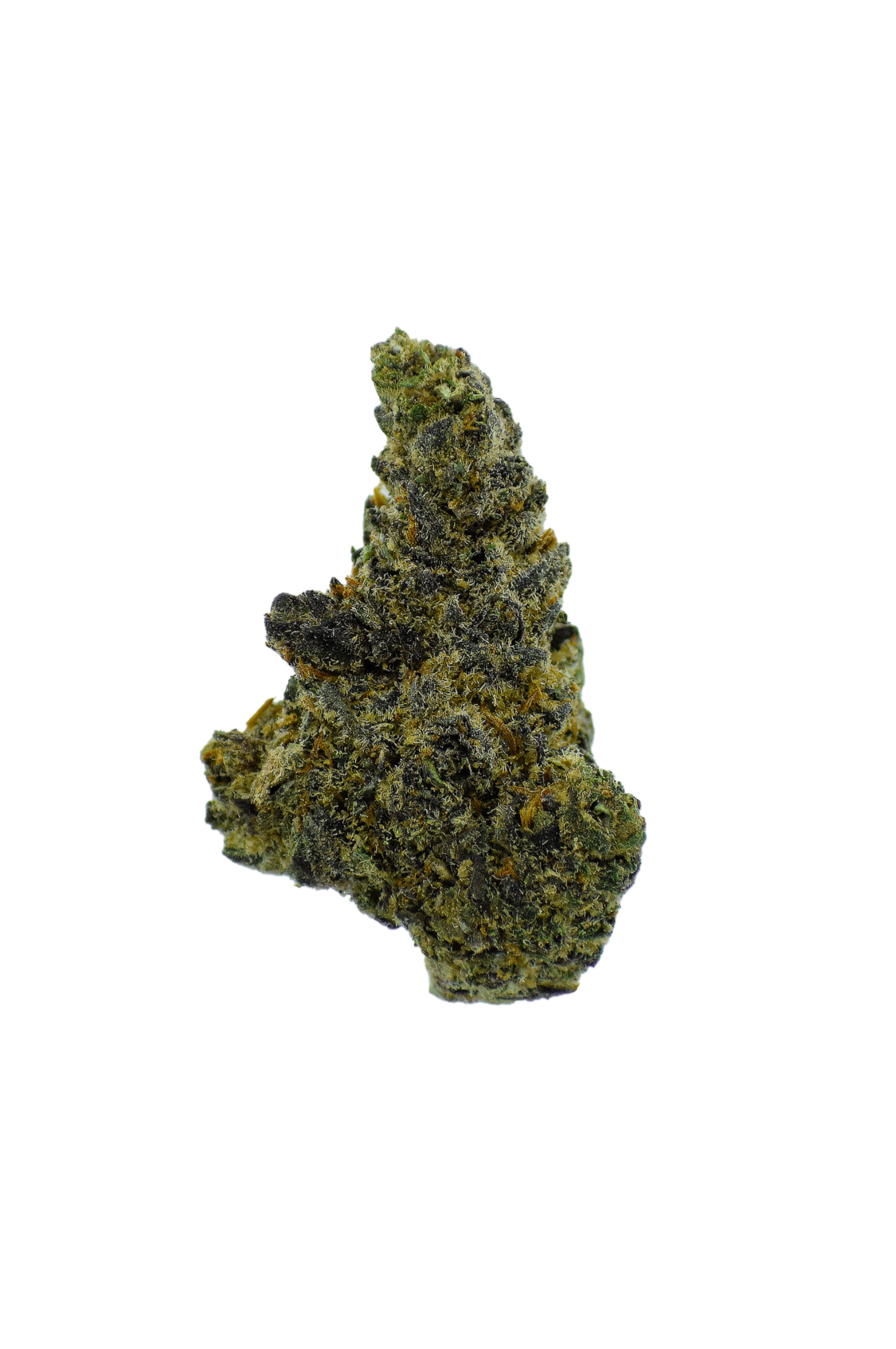 Gold Label - Apple Fritter CannaAid