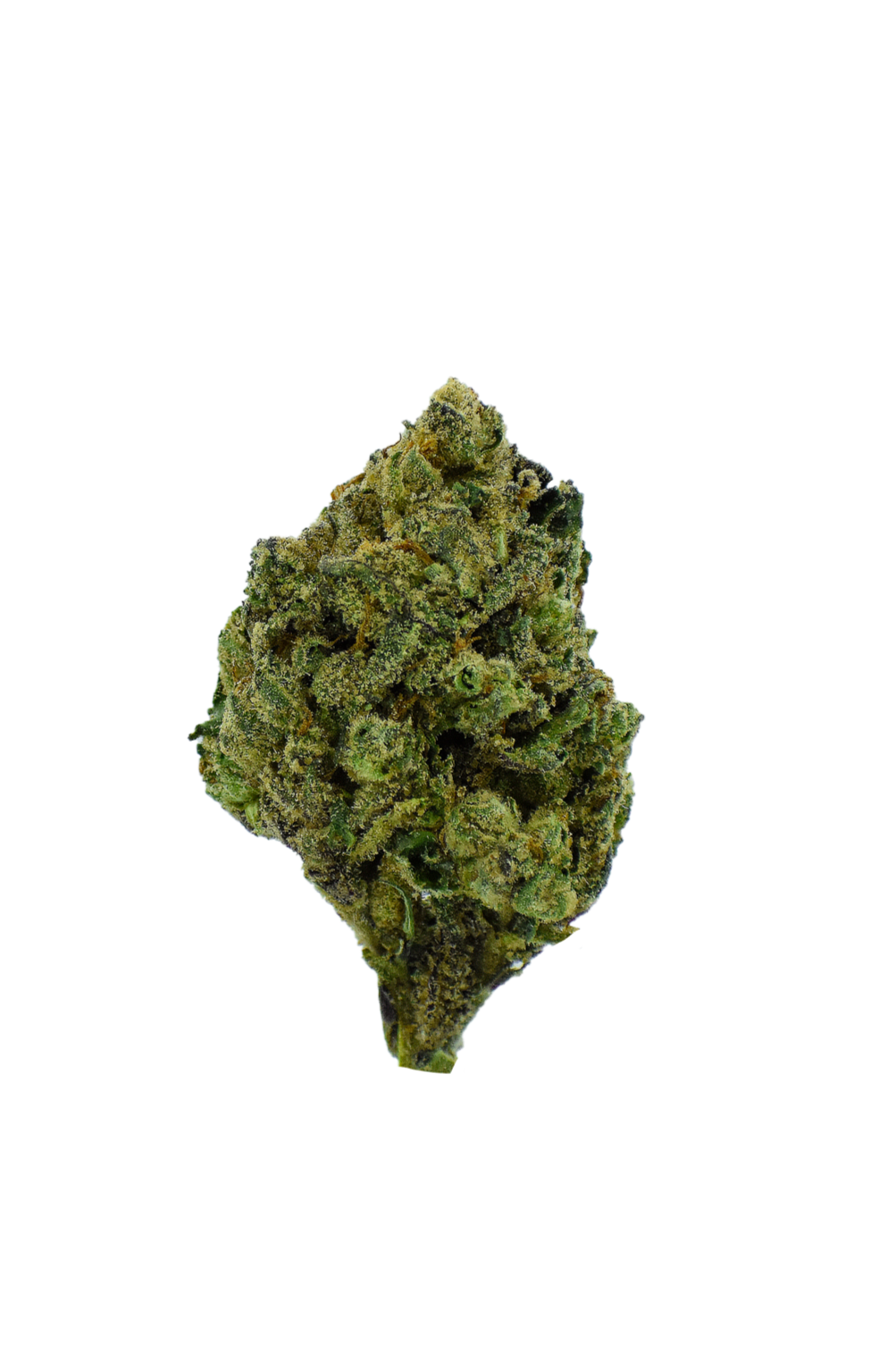 Black Cherry Soda CannaAid