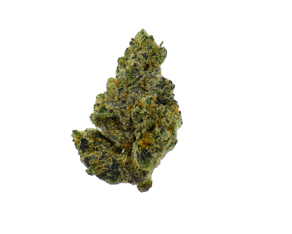 Gold Label - Gary Payton CannaAid