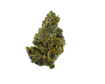 Gold Label - Gary Payton CannaAid