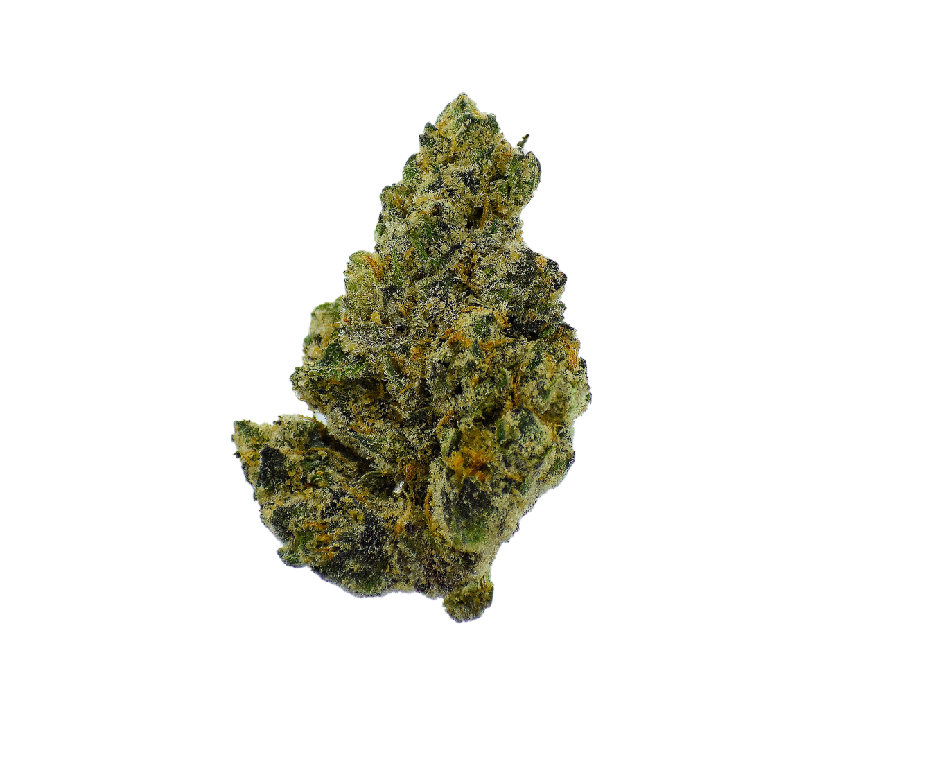 Gold Label - Gary Payton CannaAid