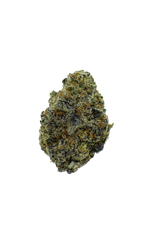 Gold Label - Gelato Cream CannaAid