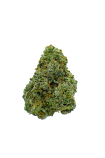 Gold Label - Gov. Oasis CannaAid