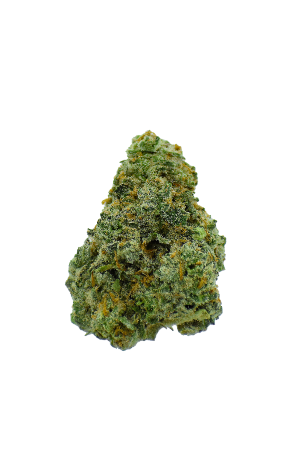 Gold Label - Gov. Oasis CannaAid