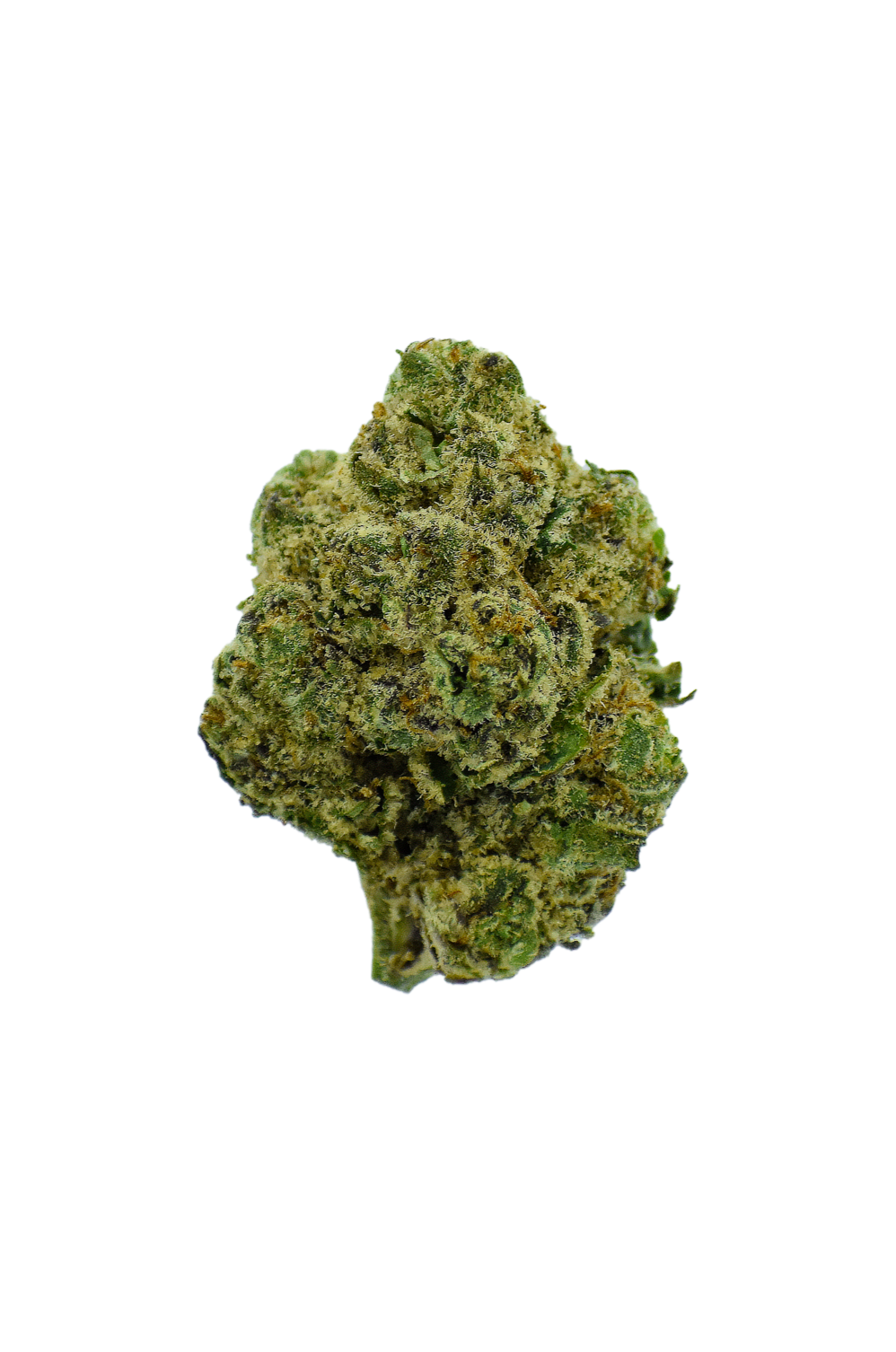 Gold Label - Gushers CannaAid