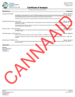 Gold Label - Jolly Rancher CannaAid