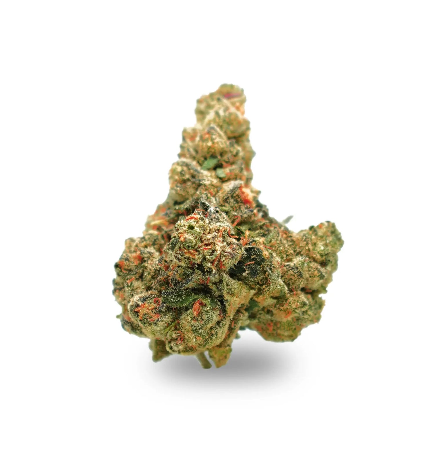 Key Lime Pie CannaAid