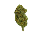 Kush Mintz CannaAid
