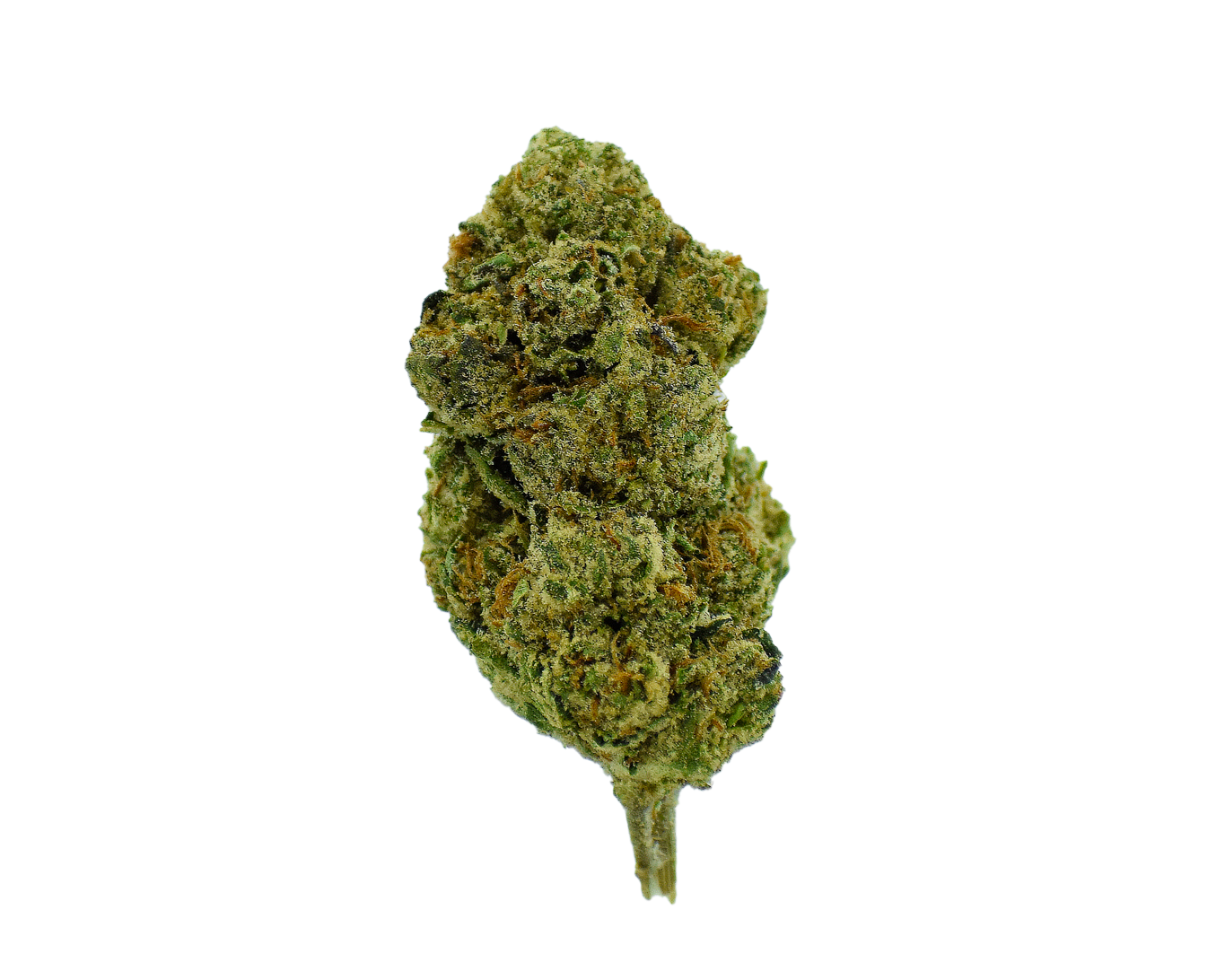 Kush Mintz CannaAid