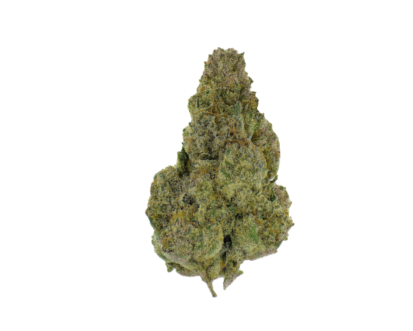 Gold Label - Northern Lights CannaAid