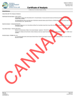 Gold Label - Orange Push Pop CannaAid