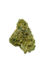 Gold Label - Orange Push Pop CannaAid