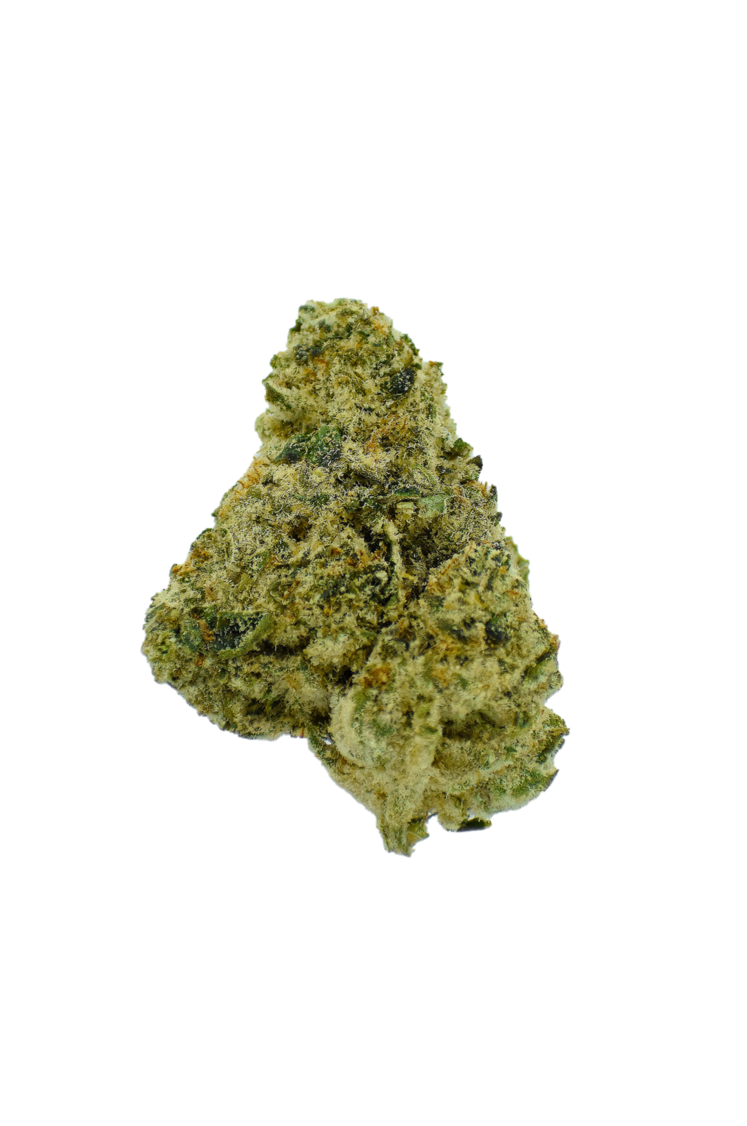 Gold Label - Orange Push Pop CannaAid