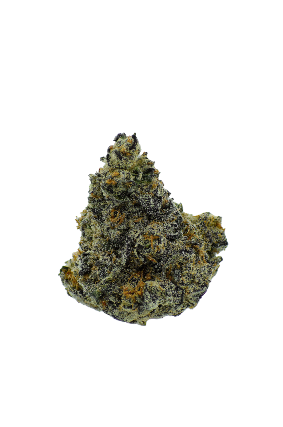 Gold Label - Pink Rozay CannaAid