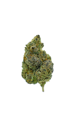 Gold Label - Pluto CannaAid