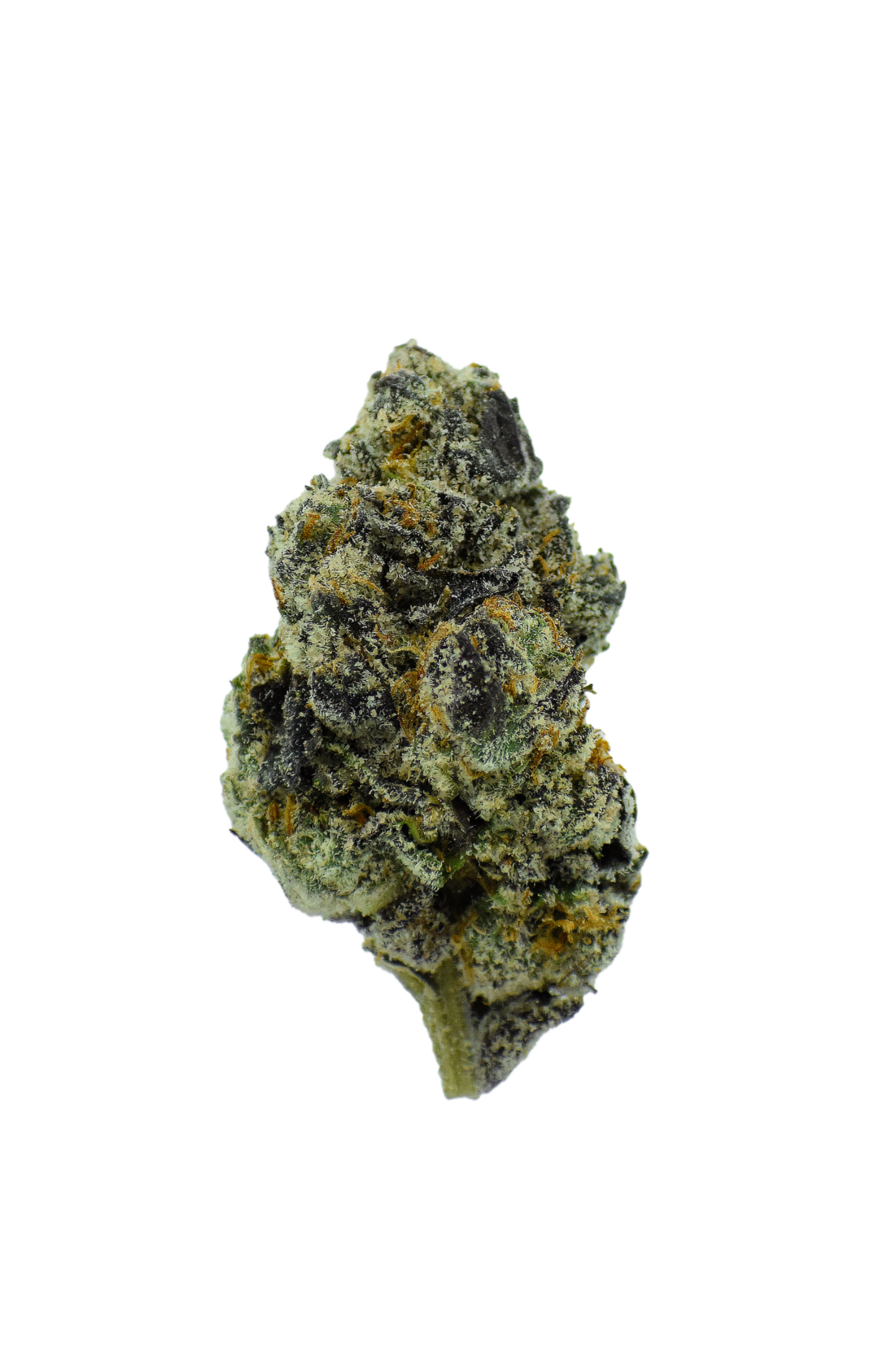 Leo's Reserve - Purple Certz CannaAid