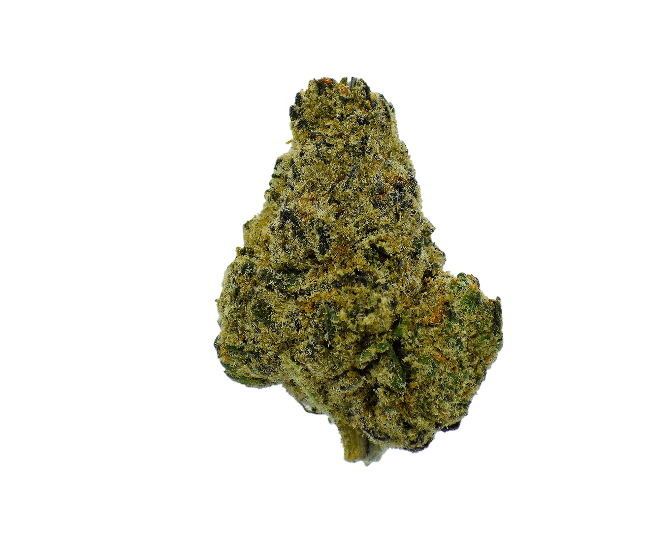Gold Label - Purple Haze CannaAid