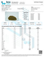 Peak THCP Infused Flower - 1G CannaAid