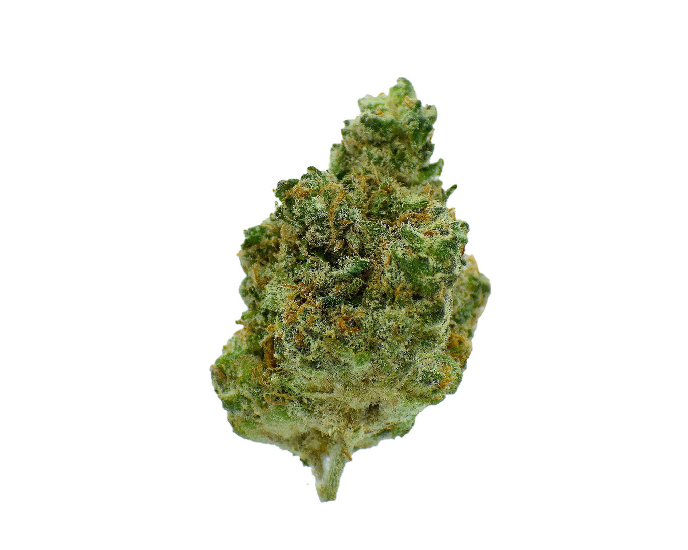 Gold Label - Trainwreck CannaAid