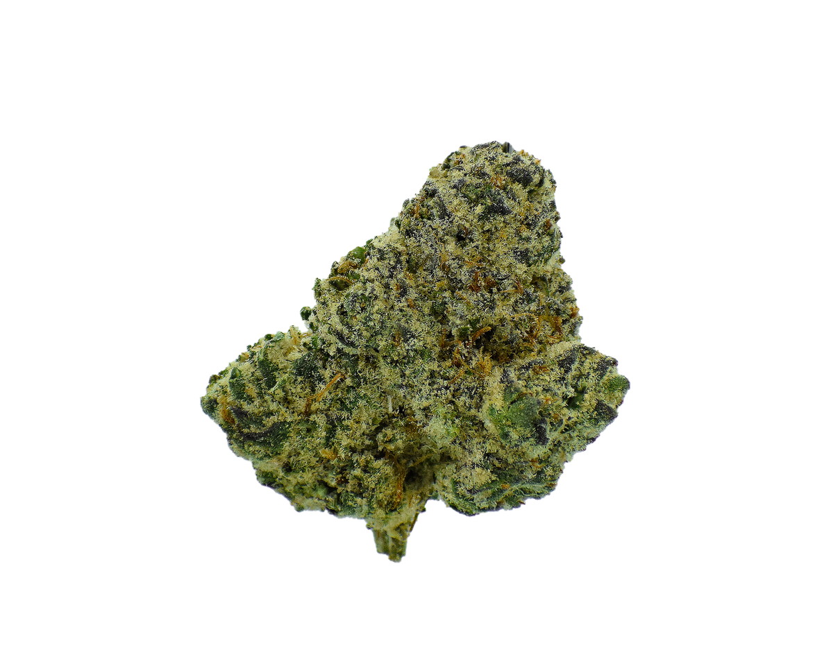 Gold Label - White Bubble Gum Gelato CannaAid