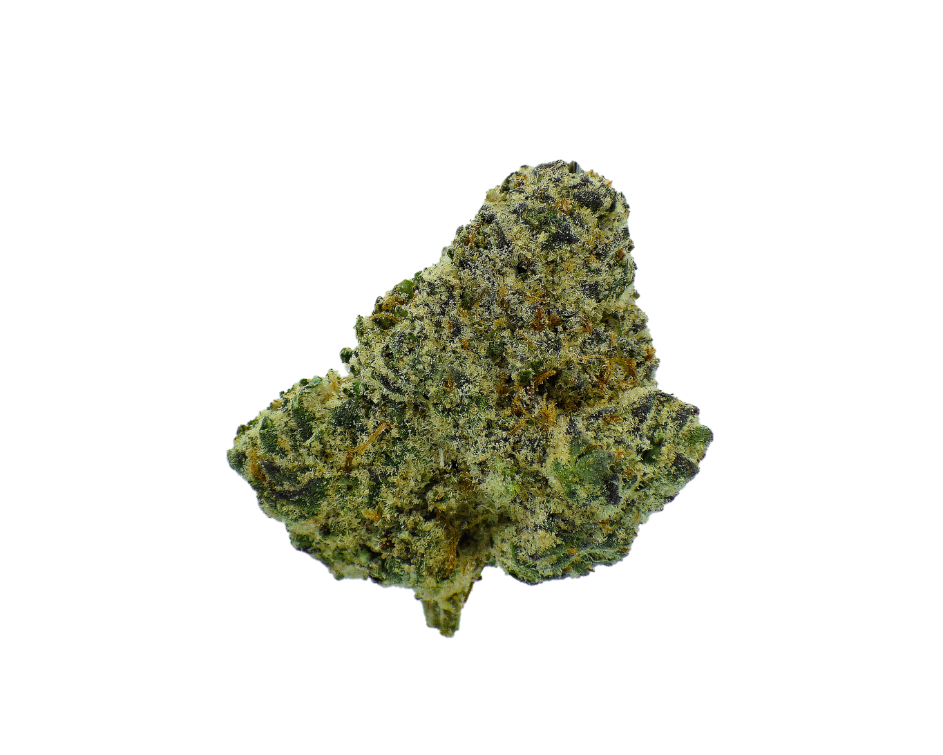 Gold Label - White Bubble Gum Gelato CannaAid