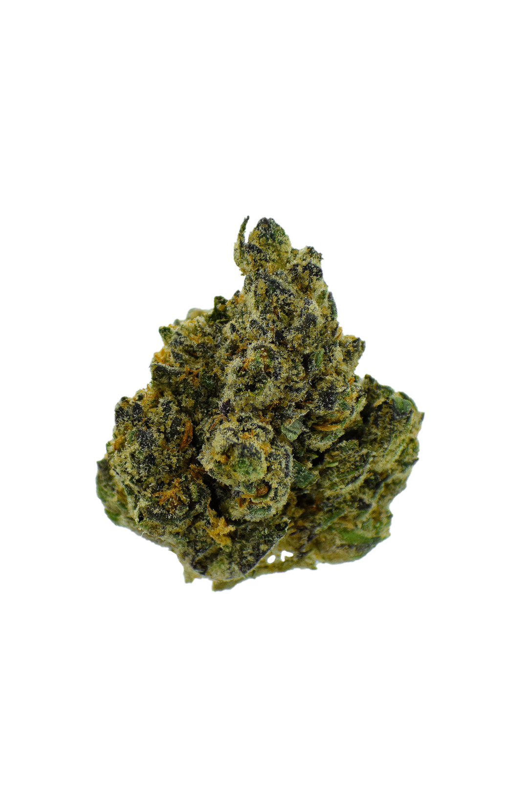 Gold Label - Z41 CannaAid
