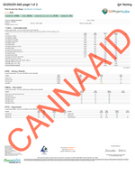 Gold Label - Z41 CannaAid